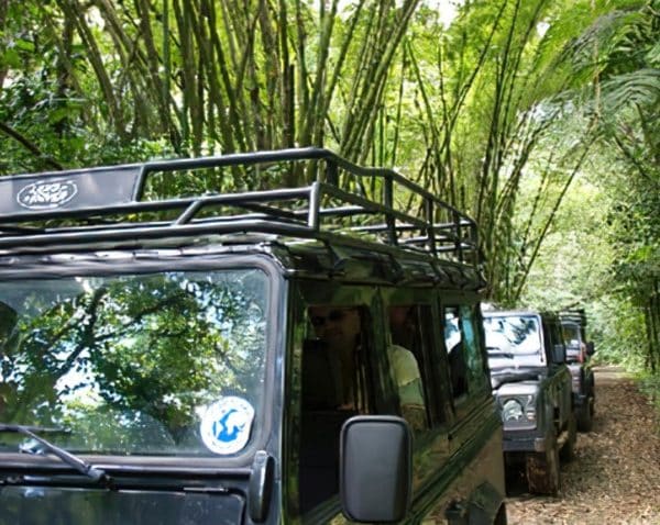 journee-dexploration-4×4-privatise-circuit-sud-ou-nord-basse-terre-6-personnes-03