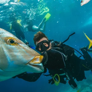 vacancesguadeloupe__many-fish-close-to-a-scuba-diver-2026-01-08-02-40-40-utc